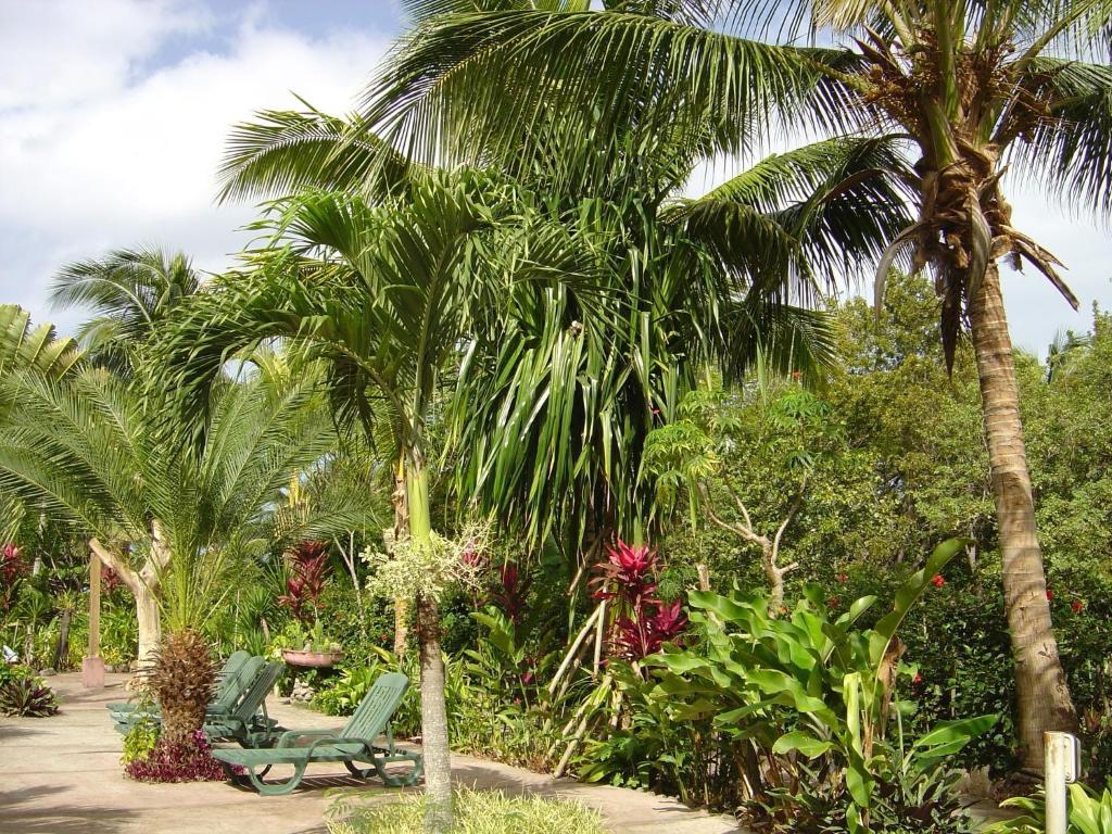 Sunset Bay Club & Seaside Dive Resort Salisbury Buitenkant foto